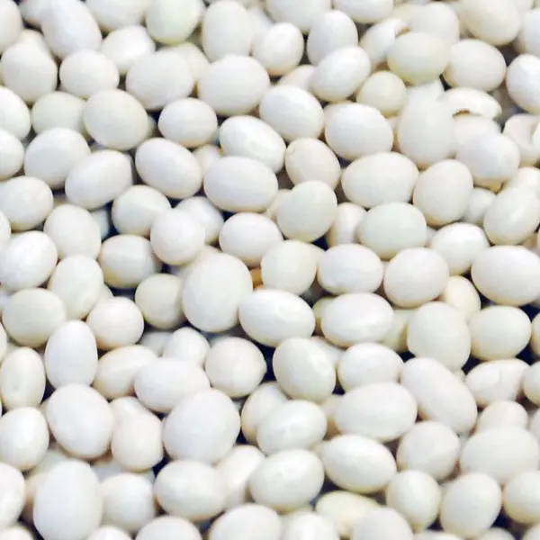 Small-White-Beans_2.webp