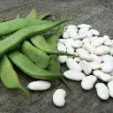 bean-haricot-s0152_a84af1e5-6ec5-46a6-a6eb-8ac244d48d2e.webp