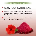 organic hibiscus powder33.webp