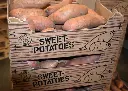 sweet potatoes.webp