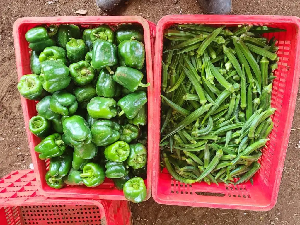 ड्रॉअर ब्लैक