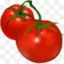 Vegetable