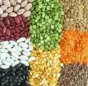 Grains