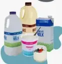 Dairy